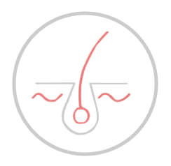 مراقبت و زیبایی مو