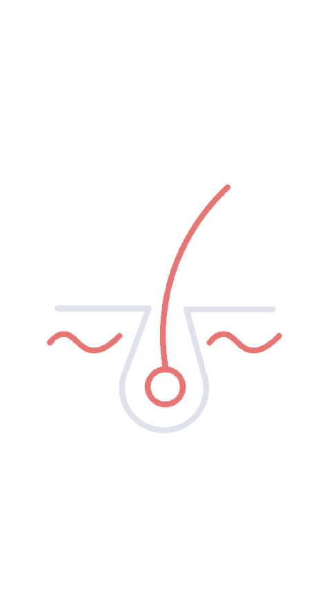 مراقبت و زیبایی مو